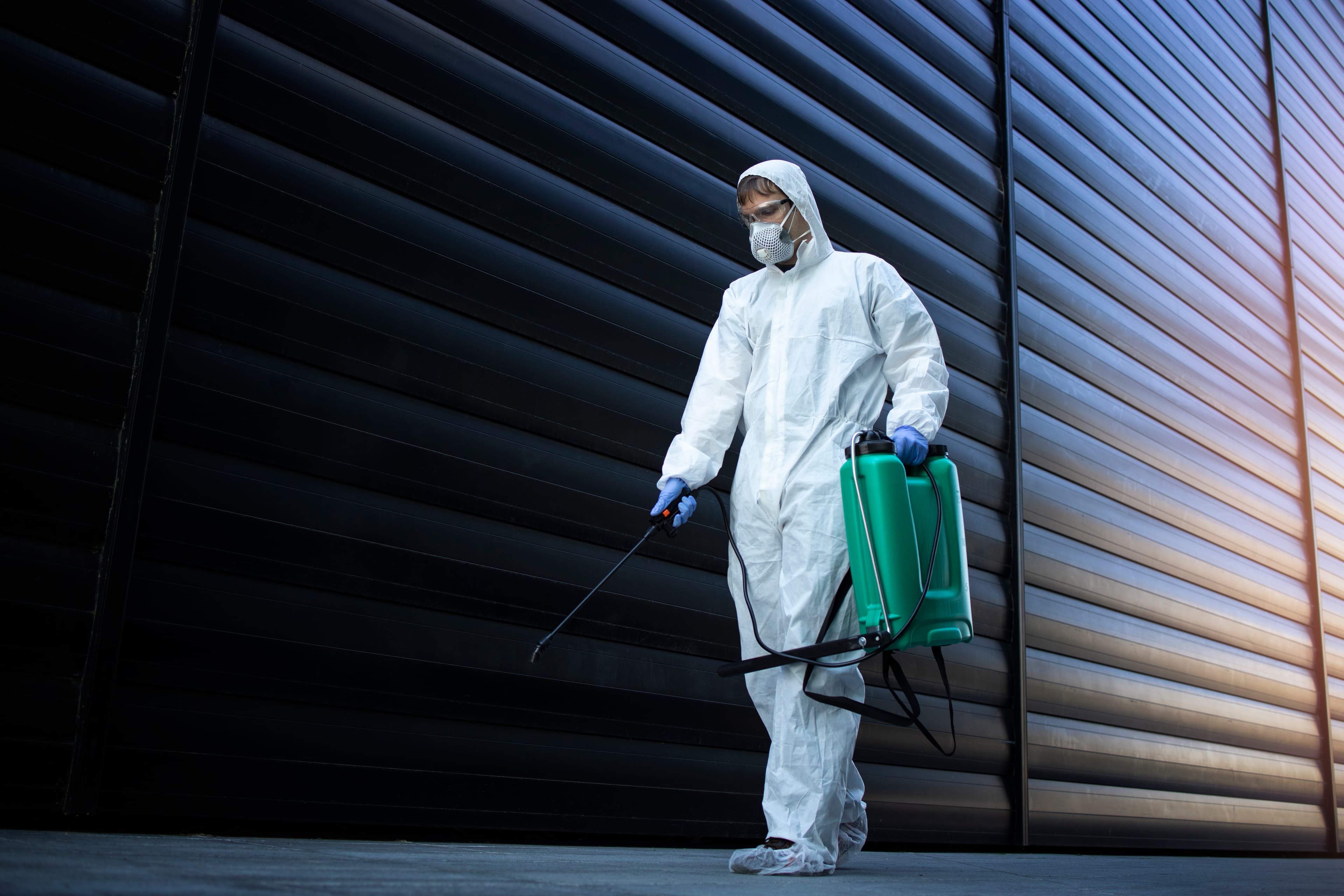 Professional pest control technician at work